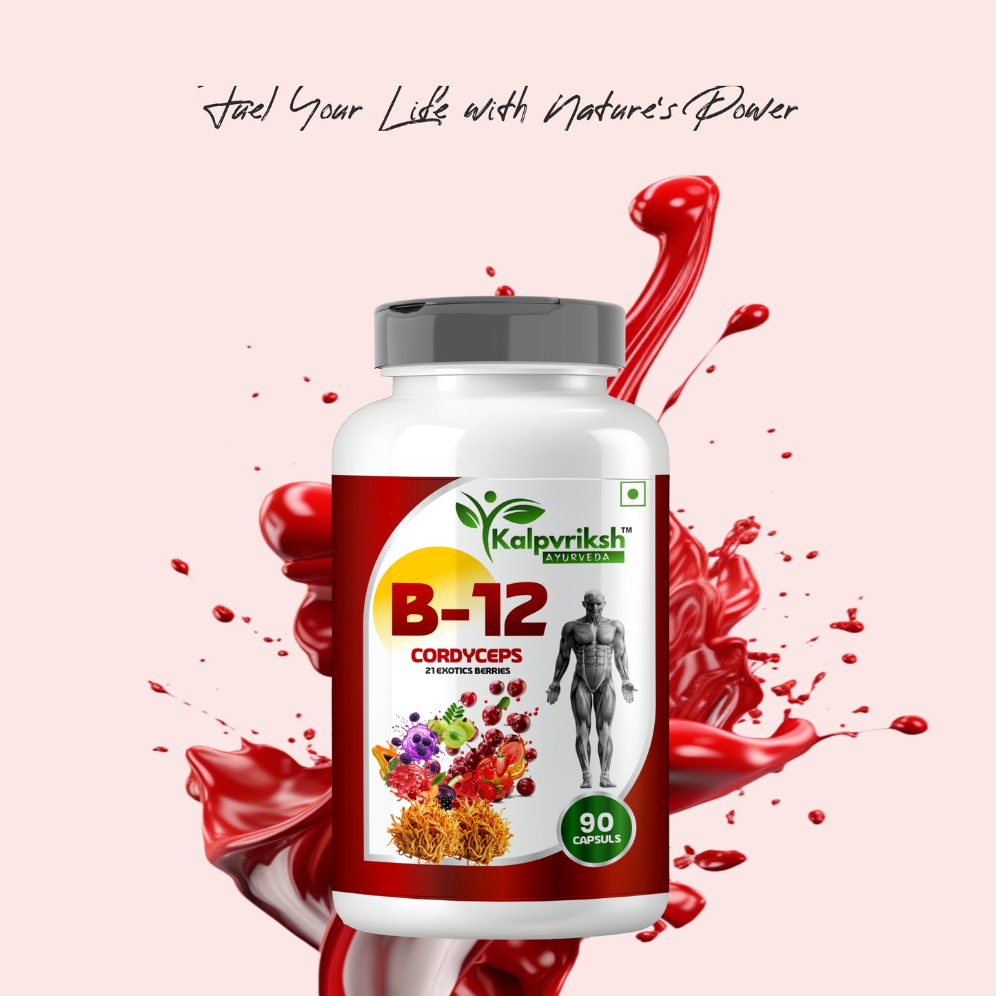Kalpvriksh Ayurveda B-12 Capsules with Cordyceps & 21 Exotic Berries