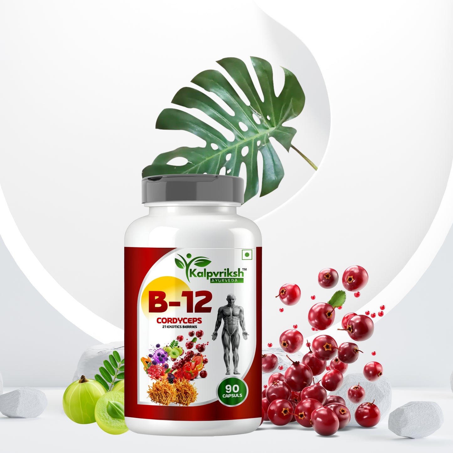 Kalpvriksh Ayurveda B-12 Capsules with Cordyceps & 21 Exotic Berries